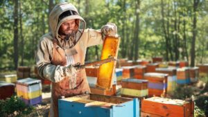 miel de abeja